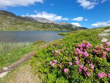 Tower of Bellecombe Lakes 2 Hiking - Tower of Bellecombe Lakes - Refuge du Lac Blanc en Vanoise 04